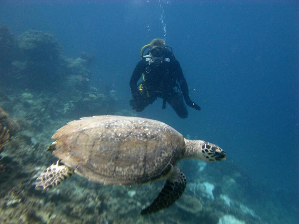 Seribu Resort Thousand Island Kepulauan Seribu Екстер'єр фото